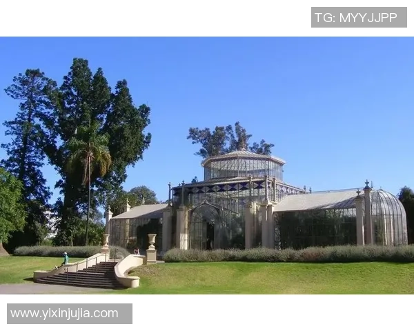 阿德莱德丘陵与阿德莱得维普斯的精彩对决分析与赛季展望